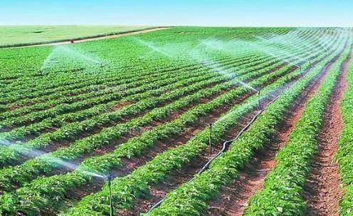 日毛茸茸的逼的视屏农田高 效节水灌溉
